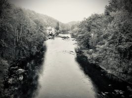 319530802_578609894100208_1817687859709447950_n